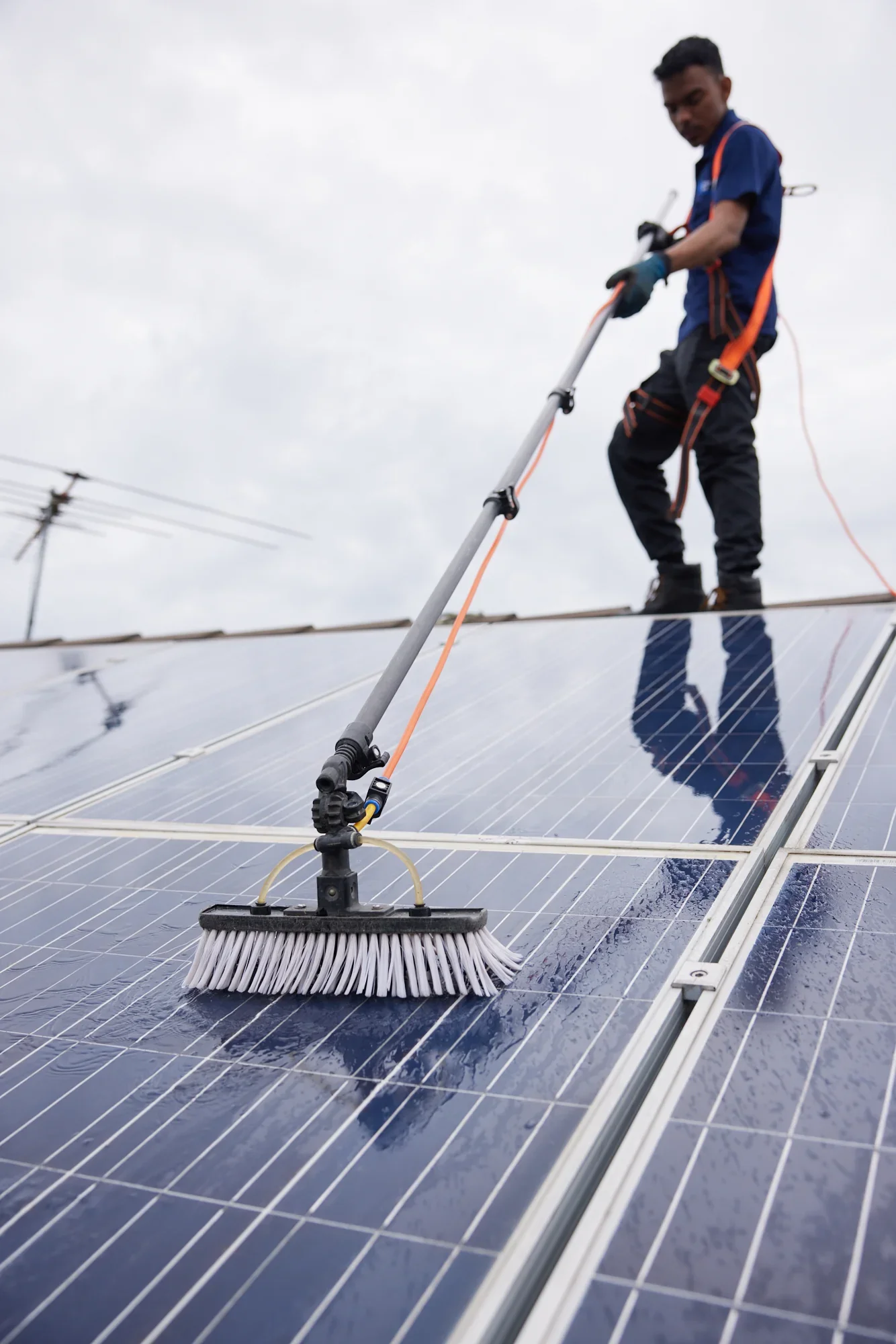 Technician soft-washing solar panels with a water-fed pole